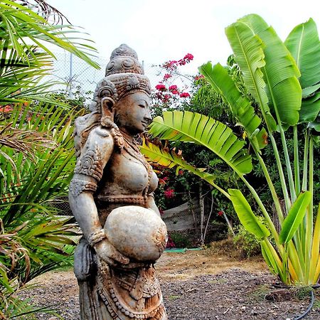 Finca Berolo 4 Guia de Isora  Ngoại thất bức ảnh